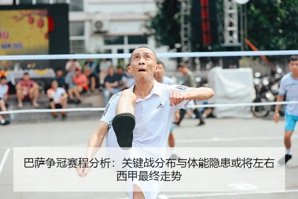 ba-sa-zheng-guan-sai-cheng-fen-xi-guan-jian-zhan-fen-bu-yu-ti-neng-yin-huan-huo-jiang-zuo-you-xi-jia-zui-zhong-zou-shi-2-313.jpg